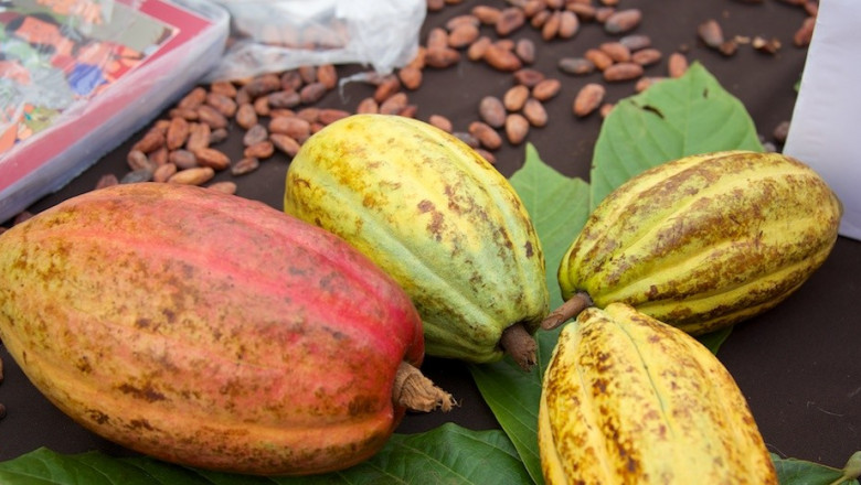 SM City Davao revives and expands its chocolate festival