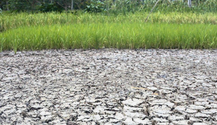 El Niño weakens at PAGASA-Davao