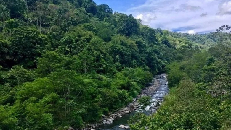Local sustainability and environmental laws are proposed by groups