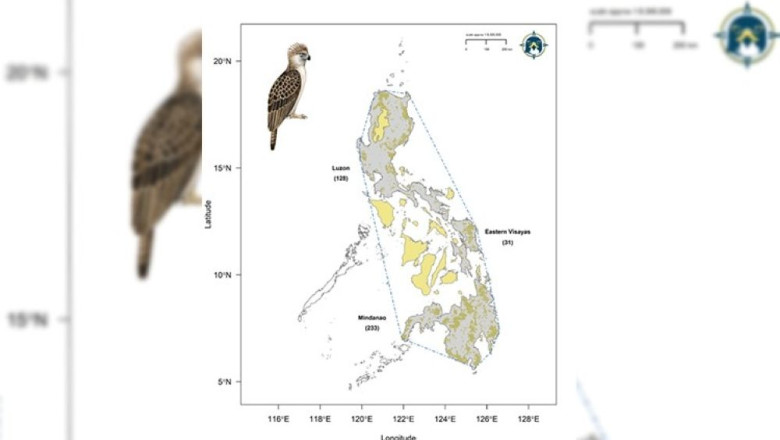 The most recent scientific information may help save the 'critically endangered' Philippine eagle