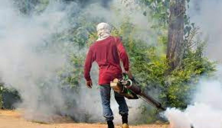 Dengue cases, deaths rise in Davao City